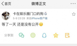 全网吃瓜爆料公众号有哪些,揭秘热门事件背后的真相与内幕