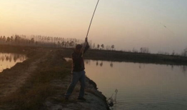 钓大鱼视频,视频教学带你轻松捕获巨物